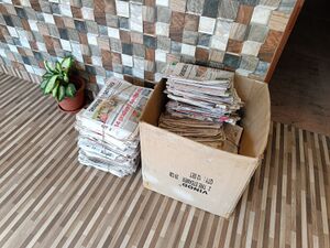 Newspaper collection 35052 22 (1).jpg