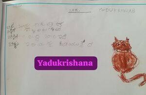 11041-kgd-kunj-yadukrishnaan.jpeg