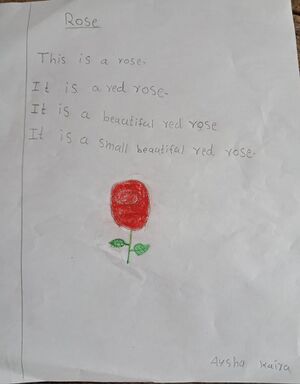 11260-KGD-KUNJ-AYSHA KAIRA.jpeg