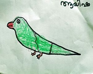 17214-KKD-KUNJ-AYISHA.N P.jpg