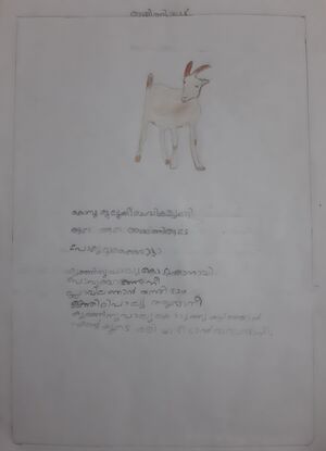 18212-MLP-KUNJ-ISRA FATHIMA.jpg