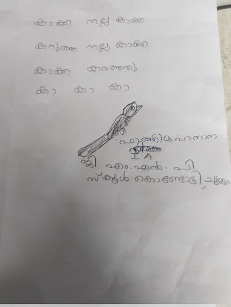 പ്രമാണം:18322-MLP-KUNJ-FATHIMA HANANA.jpg