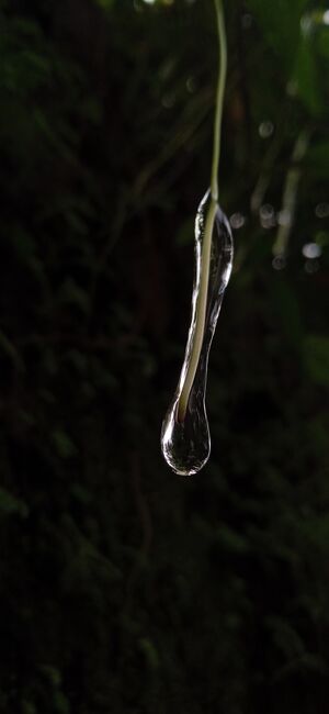 19042 Science Photography Hisana.jpg