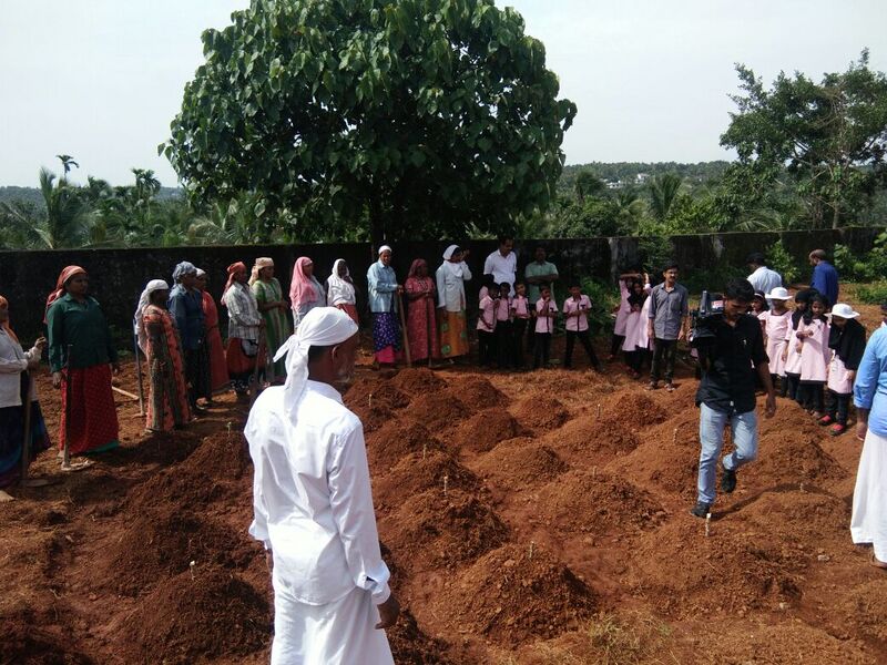 പ്രമാണം:19833 krishi9.jpg