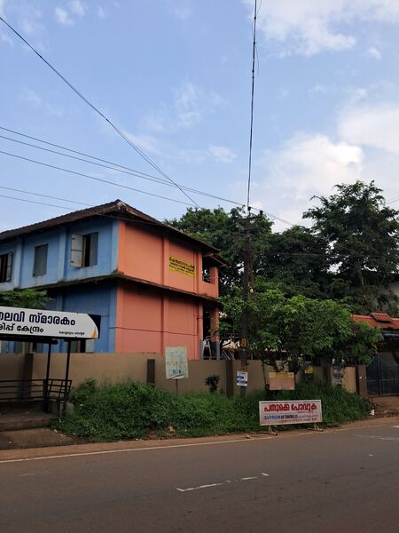 പ്രമാണം:19867 frondview.jpeg