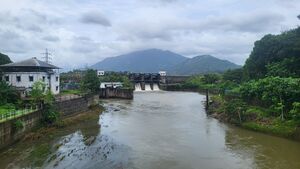 29228 dam3.jpg