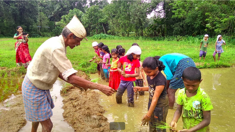 പ്രമാണം:31207 28.png