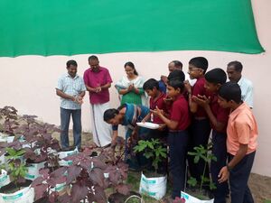 34035 UPLOADS PD6(16).jpeg