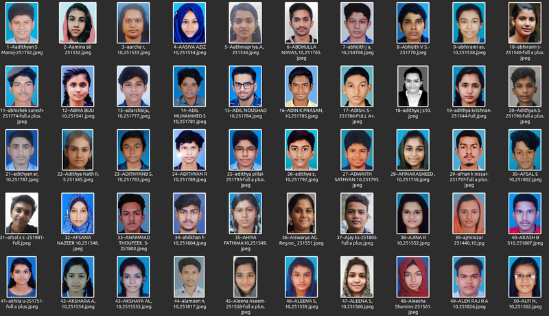 പ്രമാണം:40001 SSLC 2021 01.png