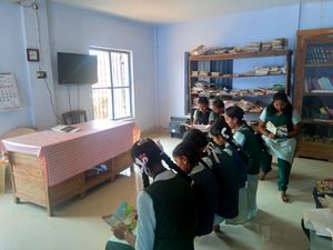 44036 library 2.jpeg