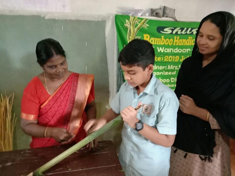 പ്രമാണം:48554 bamboo1.jpg