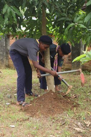 SCOUT ENVIRONMENT DAY PLANTING SESSIONS .JPG