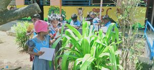 Valps garden pms.jpeg