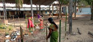 12041 sugathakumari smruthi vanam.jpeg