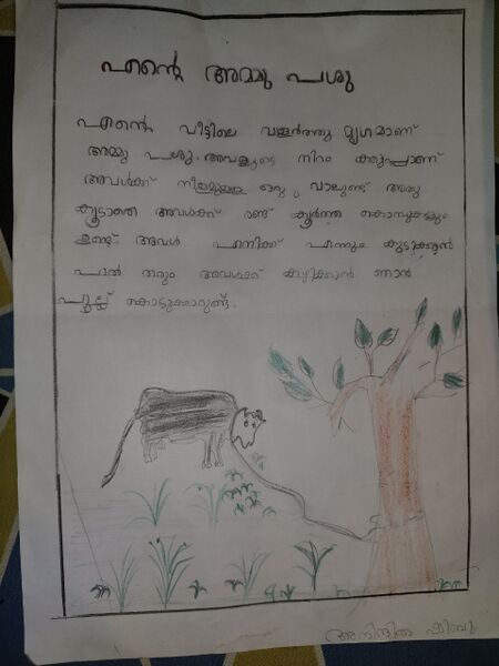 പ്രമാണം:13784-KNR-KUNJ-ANINDITHA SHIBU.jpg