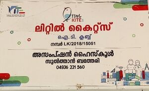 15051 kite board.jpg