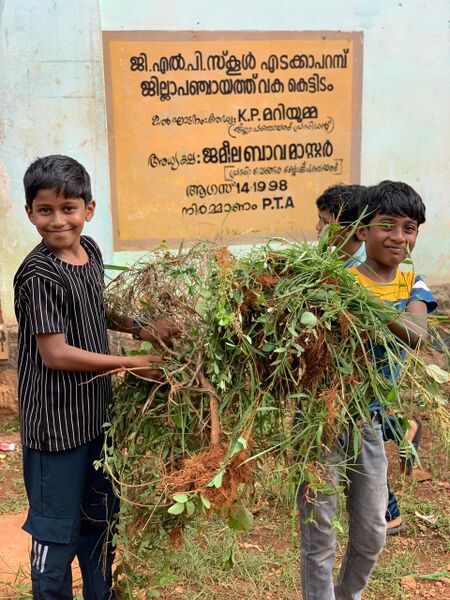 പ്രമാണം:19808-dry day.jpeg