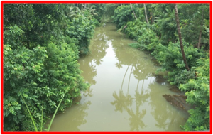 24557 ende gramam.png