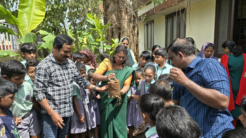 പ്രമാണം:25252- 01.jpg