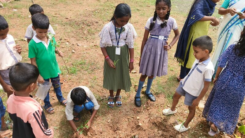 പ്രമാണം:26416 World environmental Day.jpeg