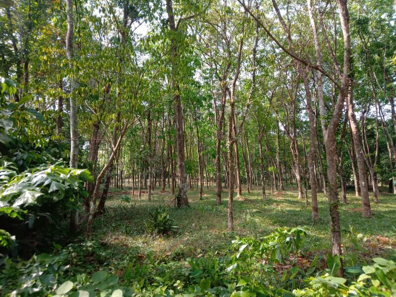 പ്രമാണം:29007.14.jpg