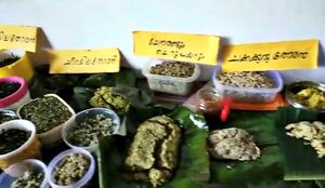 29312 bhakshyamela9.jpg