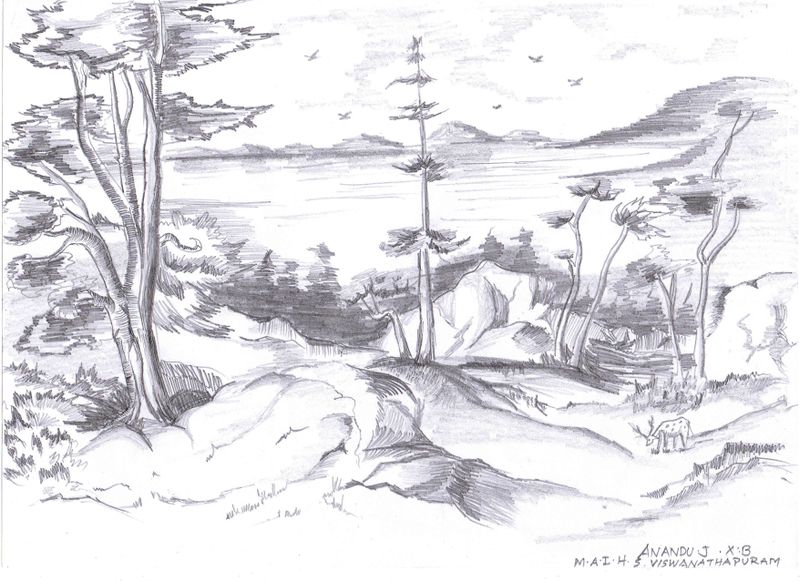 പ്രമാണം:30065 117 Anandhu.jpg