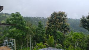 30081 Nature Beauty.jpg