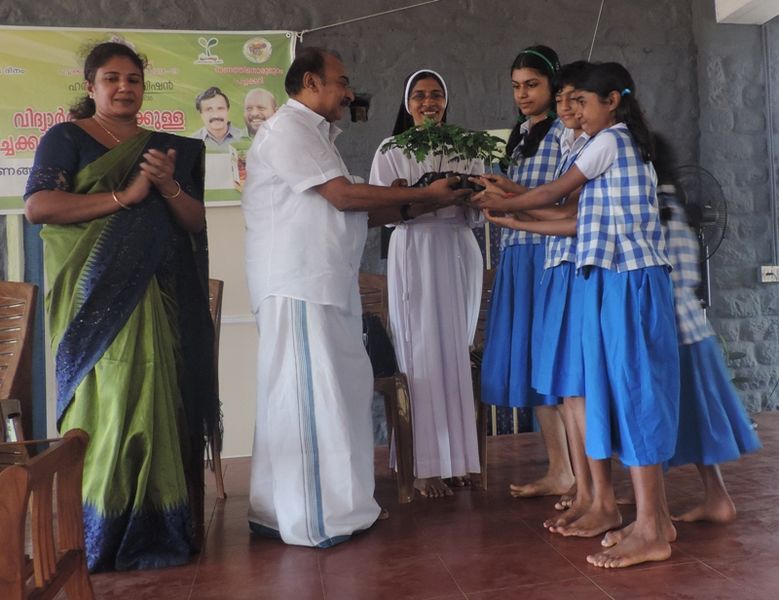 പ്രമാണം:31076vegitable 1.JPG