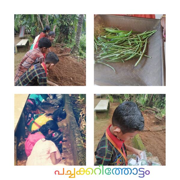 പ്രമാണം:38731 Photo8.jpeg