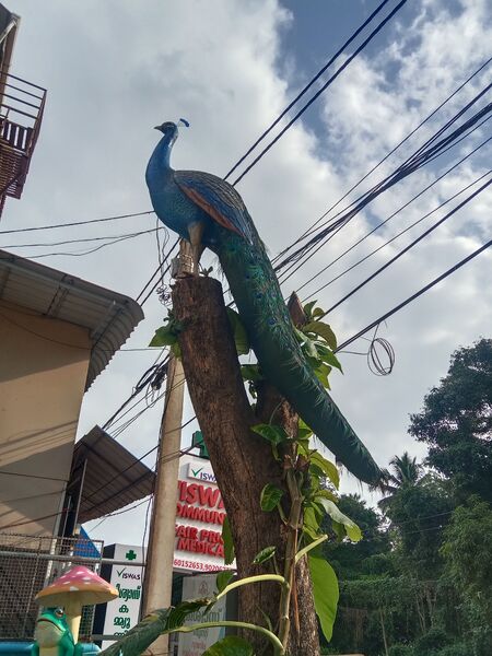 പ്രമാണം:43351 2025-26(97).jpg