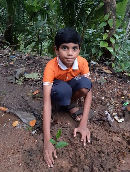 പ്രമാണം:44018 e5.jpg