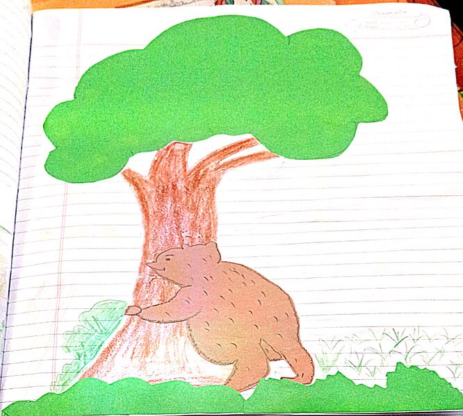 പ്രമാണം:46216-ALP-KUNJ-SAVIO VARGHESE.jpg