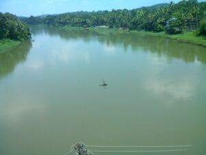 Muvattupuzha river at piravom - panoramio.jpg