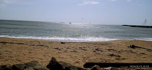 Pallippuram beach view.jpg