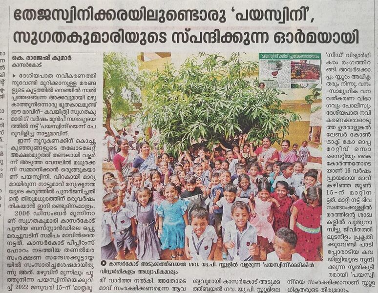 പ്രമാണം:Payaswini tree.jpg