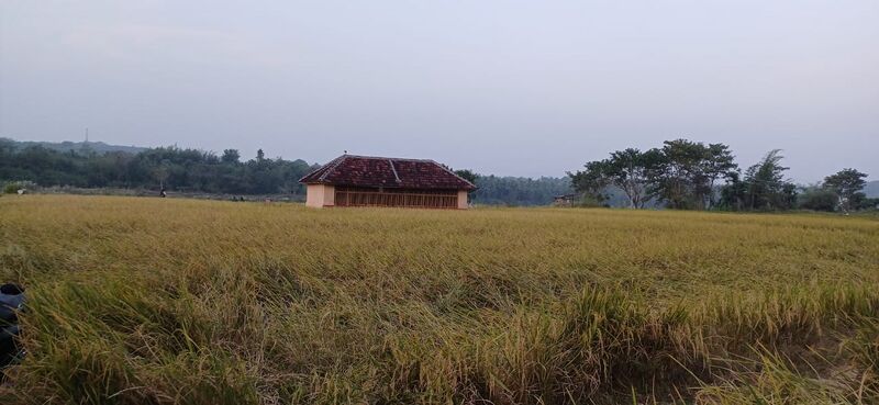 പ്രമാണം:08134 ENTE GRAMAM .jpeg