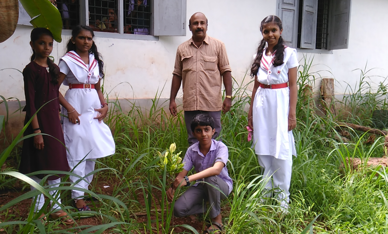 പ്രമാണം:1270.Birthday sapling.png