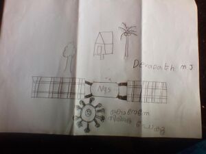 22672-go corona go.jpg