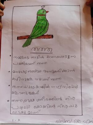 23311 TSR KUNJ LAIBA.jpeg