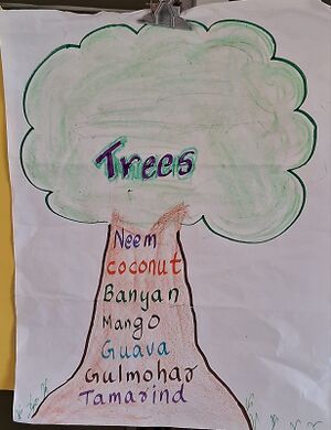 23439-tsr-trees-aksharam.jpeg