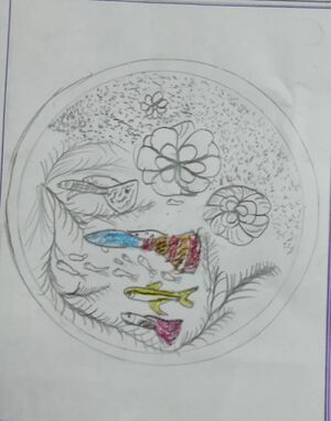 24272-TSR-KUNJ-MUHAMMED SINAN.jpg