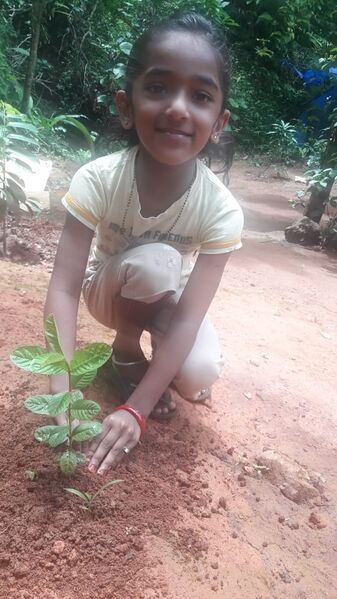 പ്രമാണം:29411 EnvironmentDay10.jpeg