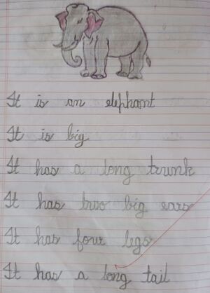 34323-ALP-KUNJ-ABEL JOHN.jpg