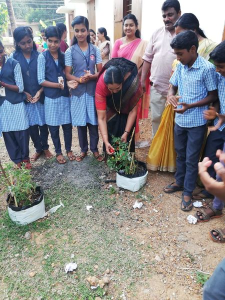 പ്രമാണം:36037 seed23.jpeg