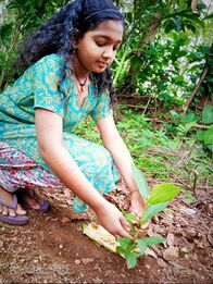 പരിസ്ഥിതി ദിനം - വൃക്ഷതൈ നടീൽ