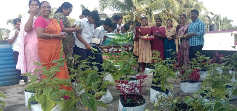 പ്രമാണം:43240 seed4.jpg