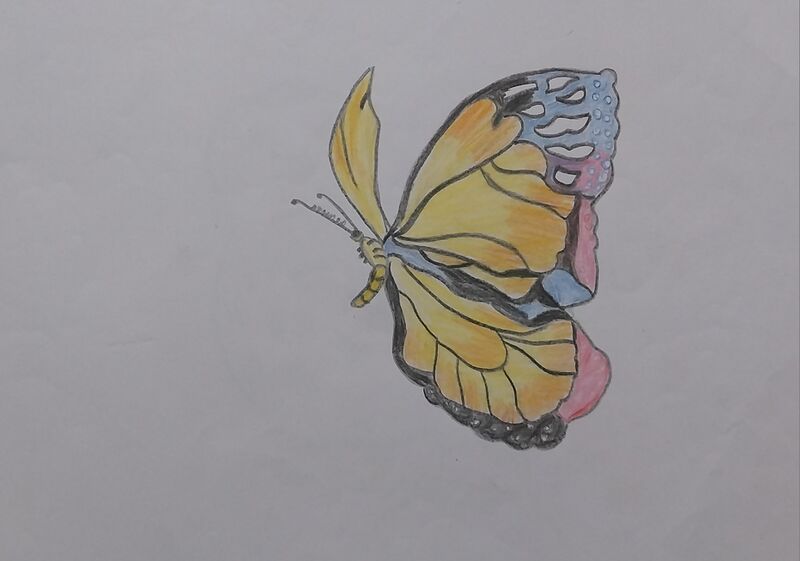 പ്രമാണം:44050 23 12 23 10.jpg