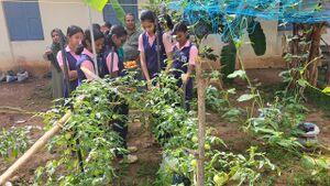 45005 IMG-20250125-WA0002.jpg