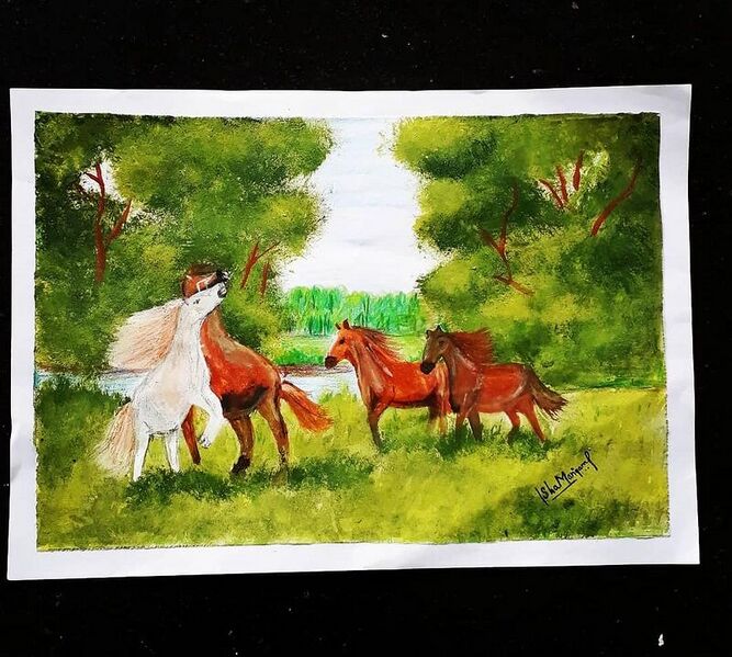 പ്രമാണം:Aups kada.jpg